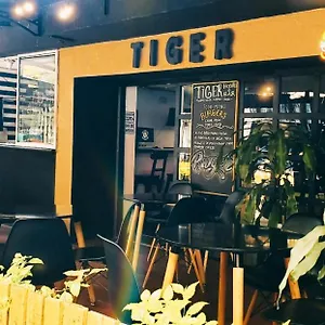 Tiger ** Medellín