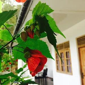 View Guest Nallathanniya